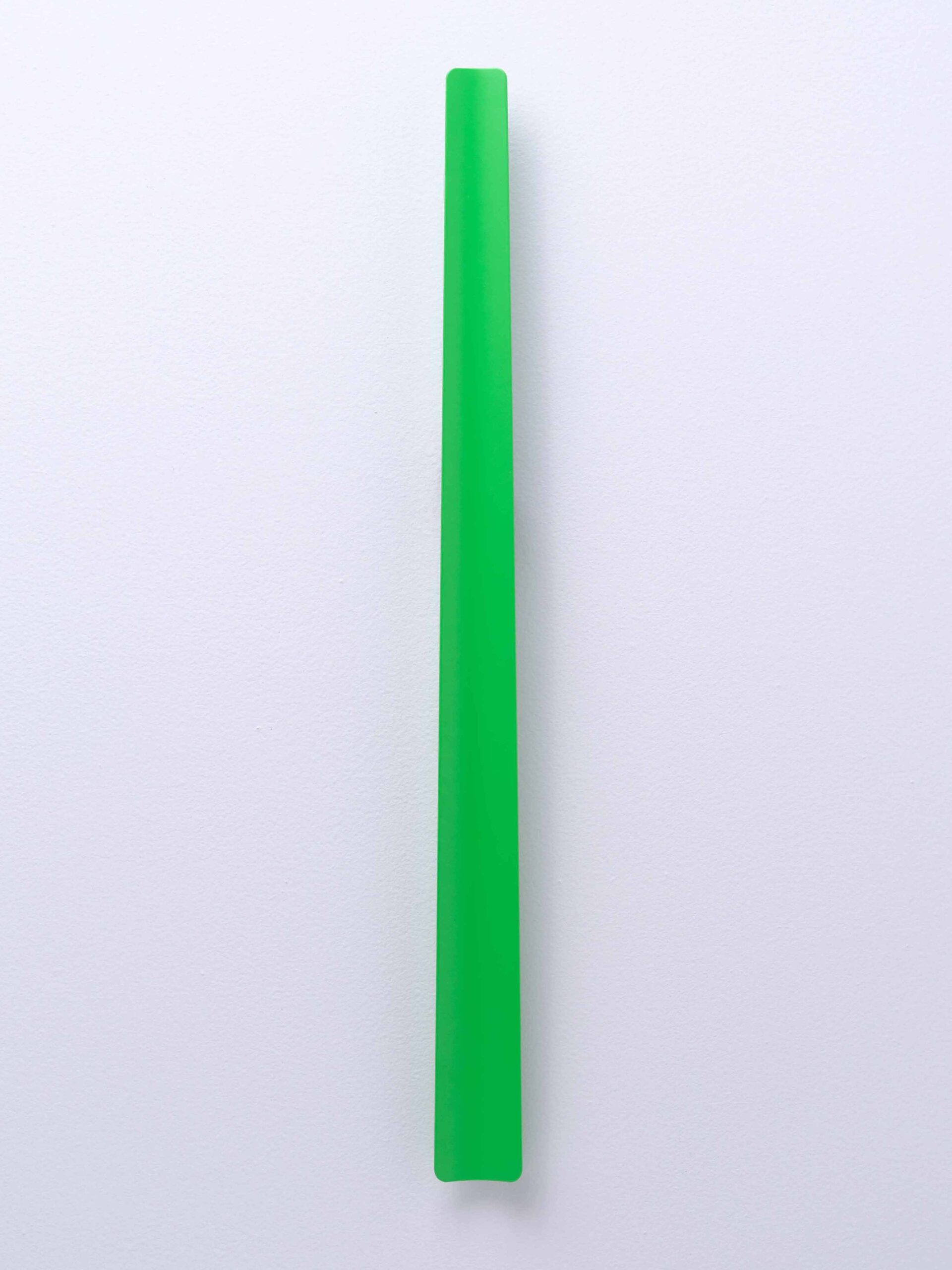 Skohorn 58 cm | Sommereng - Bilde 9